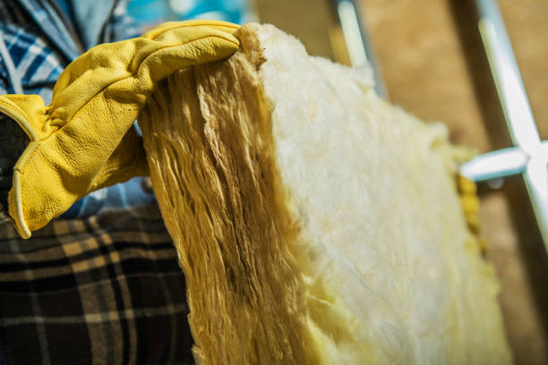 Best Cellulose Insulation in Argos, IN