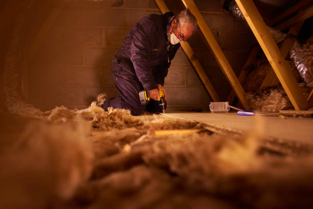 Types of Insulation We Offer in Argos, IN